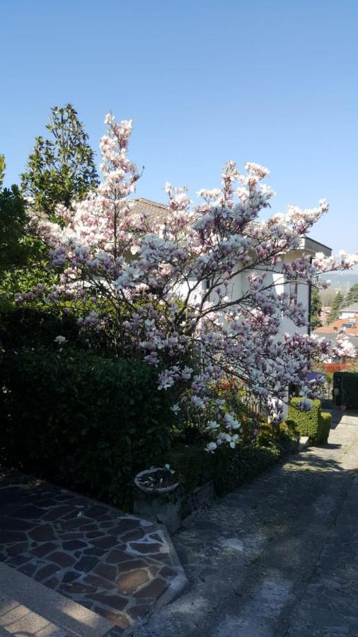 Nel Giardino Di Oz Bed & Breakfast Fornovo di Taro Luaran gambar